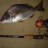 good lil bream on snapback